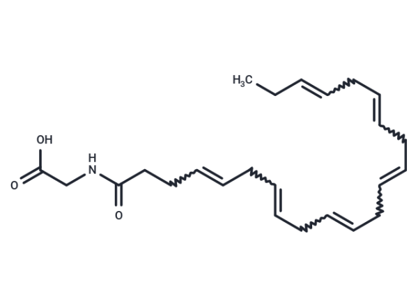 Docosahexaenoyl Glycine