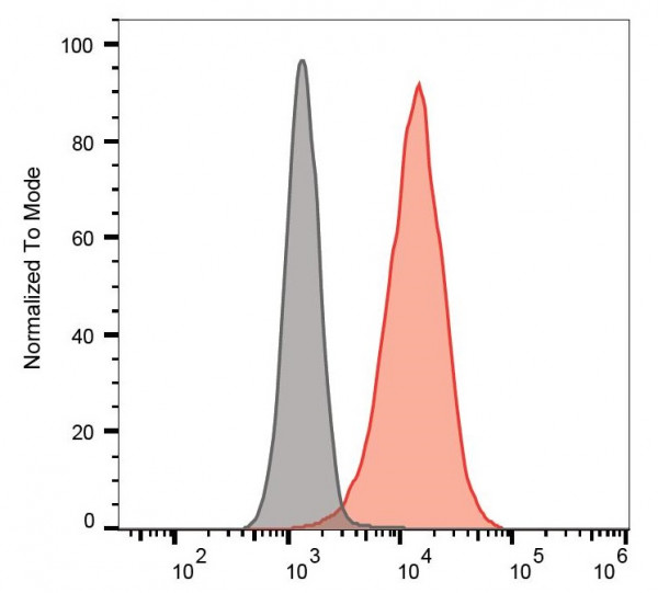 Anti-CD90, clone 5E10 (FITC)