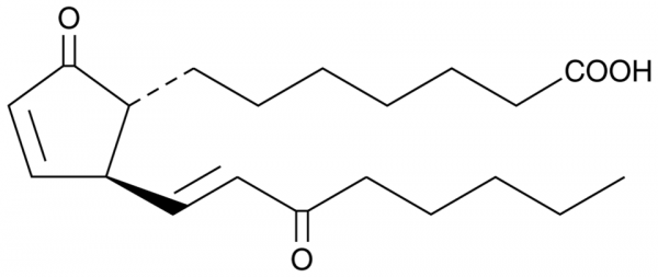 15-keto Prostaglandin A1