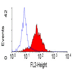 Anti-CD49f / Integrin alpha 6 (RPE), clone 450-30A