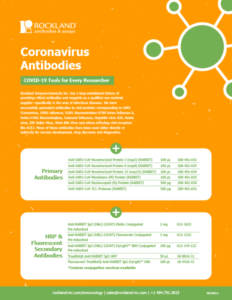 Coronavirus Antibodies