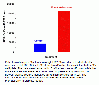 Cell Meter(TM) Caspase 9 Activity Apoptosis Assay Kit * Green Fluorescence*