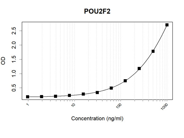 Anti-Human Oct-2 Antibody Pair