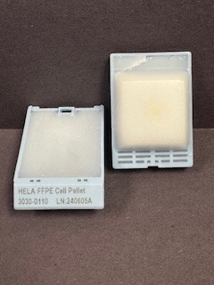 BT474 FFPE Cell Pellet Block