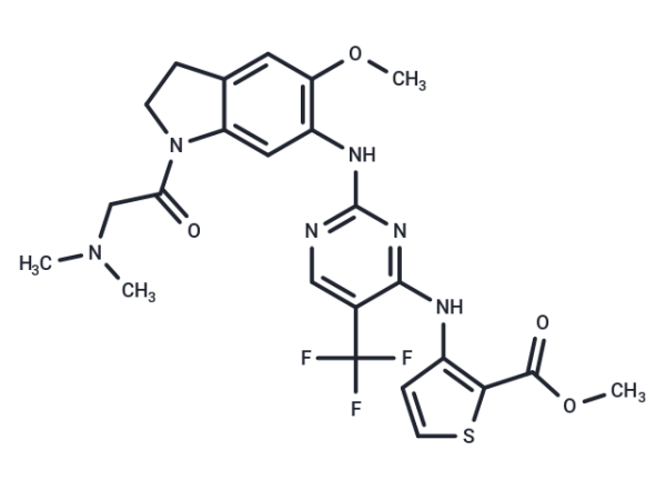PLK1-IN-4
