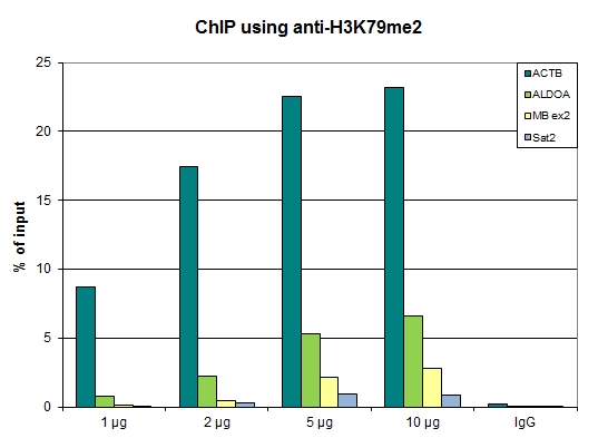 Anti-H3K79me2