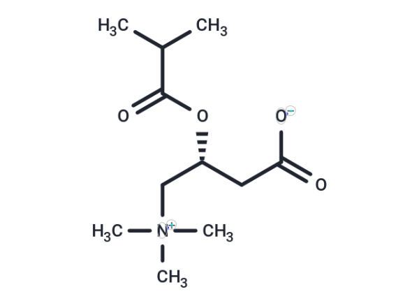 Isobutyryl-L-carnitine