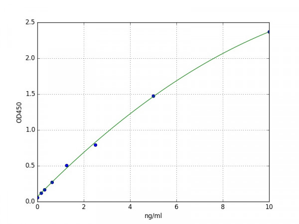 Human HSP40 / DNAJB1 ELISA Kit
