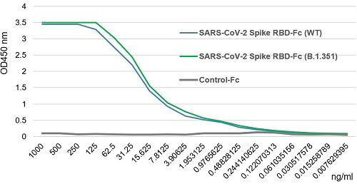 SARS-CoV-2 Spike Protein S1 (RBD):Fc (h) (rec.) (beta B.1.351 Variant, SA)