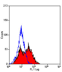 Anti-CD223 / LAG3, clone C9B7W
