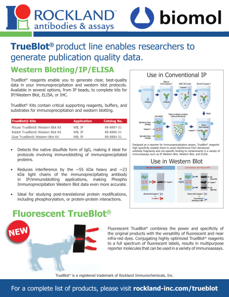 TrueBlot®