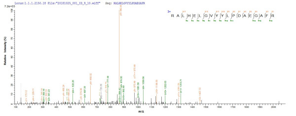 Erythroferrone (ERFE), partial, human, recombinant