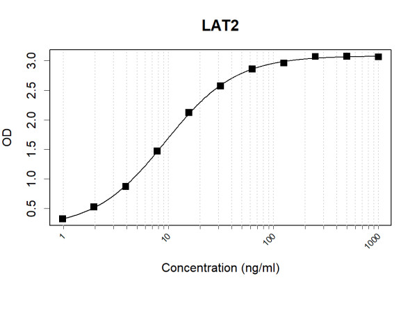 Anti-Human LAT2 Antibody Pair