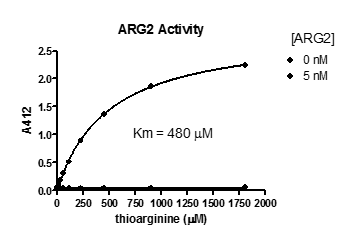 ARG2 Inhibitor Screening Assay Kit
