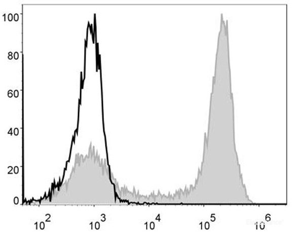 Anti-Mouse/Human CD11b (FITC Conjugated)[M1/70], clone M1/70