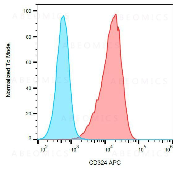 Anti-CD324 / E-Cadherin Monoclonal Antibody (Clone:67A4)-APC Conjugated