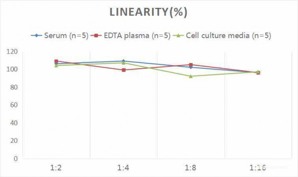 Rat GRObeta/CXCL2 (Growth Regulated Oncogene Beta) CLIA Kit