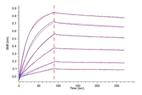 OSMR beta, His, Human