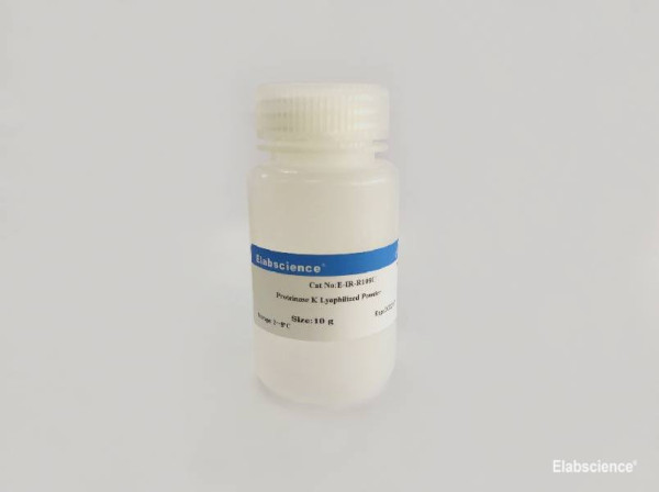 Proteinase K Lyophilized Powder