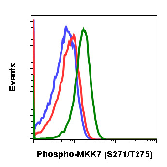 Anti-phospho-MKK7 (Ser271/Thr275) (Clone: R4F9) rabbit mAb