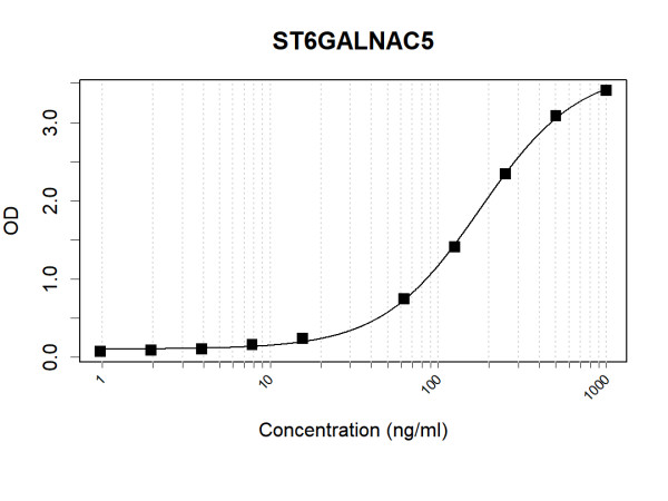 Anti-Human ST6GALNAC5 Antibody Pair