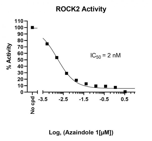 ROCK2 Kinase Assay Kit