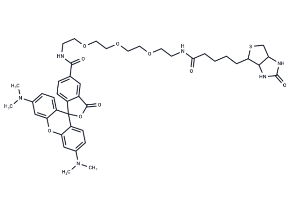 TAMRA-PEG3-biotin