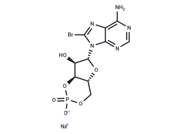 8-Bromo-cAMP sodium salt