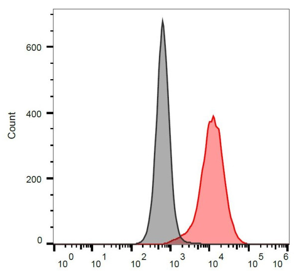 Anti-CD80, clone MEM-233 (PerCP)