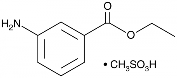 Ethyl 3-Aminobenzoate (methanesulfonate)