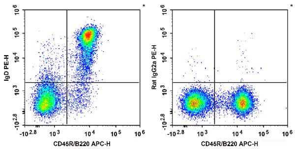 Anti-Mouse IgD, PE conjugated, clone 11-26c.2a