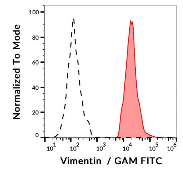 Anti-Vimentin, clone VI-RE/1