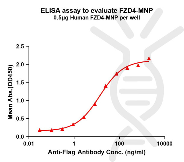 FZD4 (human) full length protein-MNP