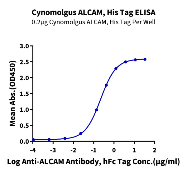 Cynomolgus ALCAM/CD166 Protein