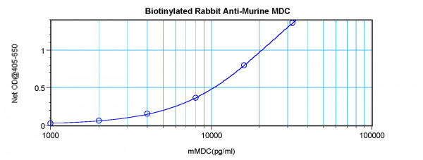 Anti-CCL22 / MDC (Biotin)
