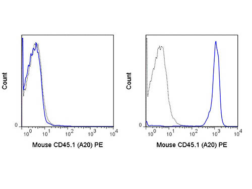 Anti-CD45.1 Phycoerythrin Conjugated, clone A20
