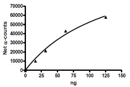 BRD4 (342-460), His-tag, human recombinant protein