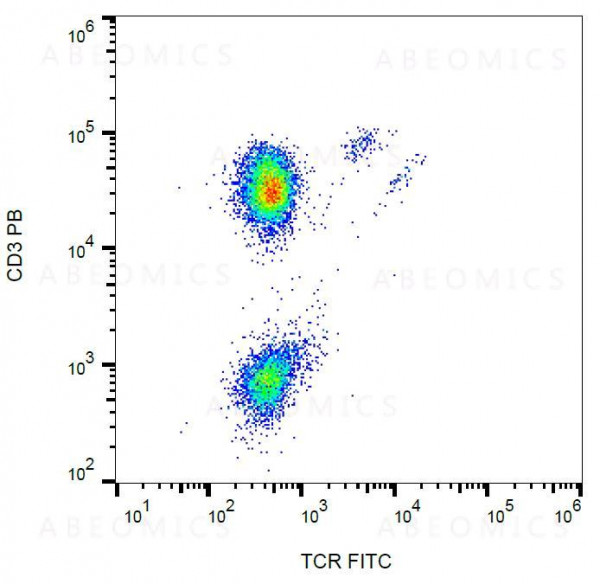 Anti-TCR gamma/delta Monoclonal Antibody (Clone:B1)