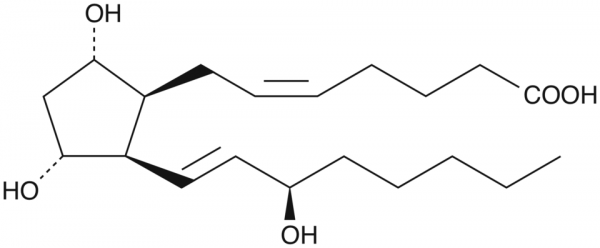 8-iso-15(R)-Prostaglandin F2alpha