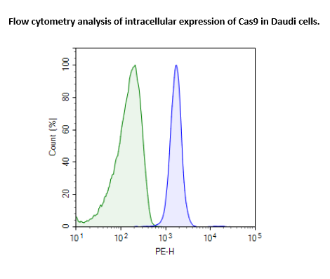 Cas9-Expressing Daudi Cell Line