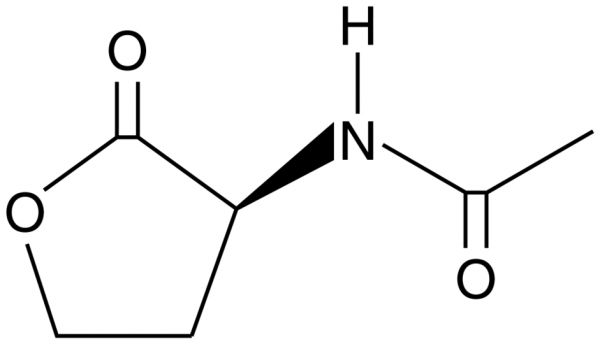 Acetyl-L-Homoserine lactone