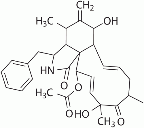 Cytochalasin D