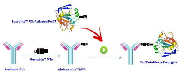 Buccutite(TM) Rapid PerCP Antibody Labeling Kit *Microscale Optimized for Labeling 25 ug Antibody Pe