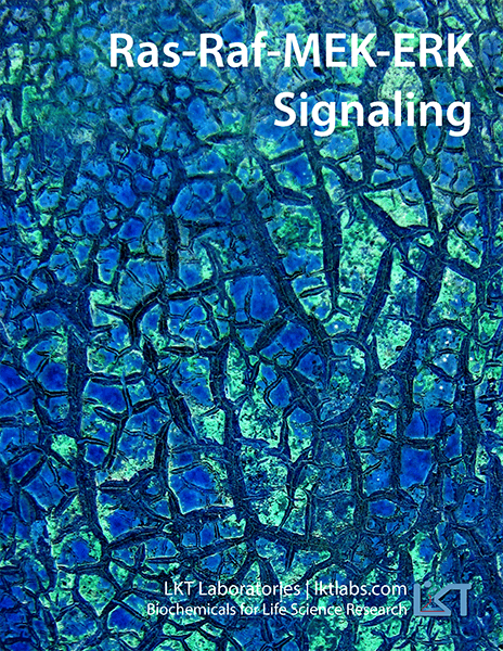 Ras-Raf-MEK-ERK Signaling