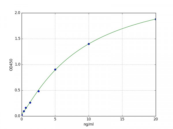 Human Dynamin 1 / DNM1 ELISA Kit