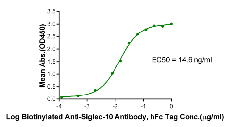 Siglec-10 hFc Chimera, Avi, Human