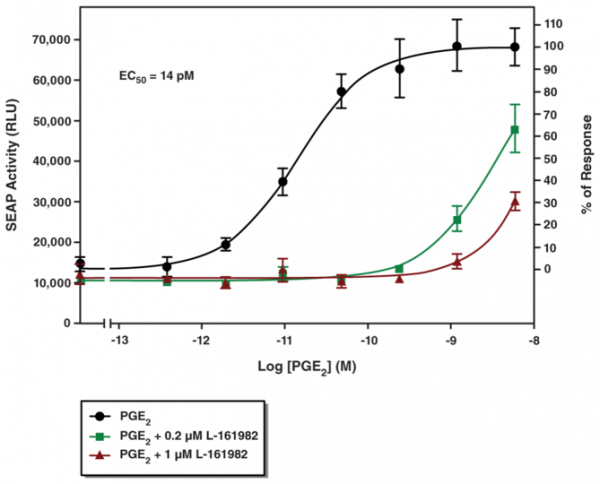 EP4 Receptor (rat) Reporter Assay Kit