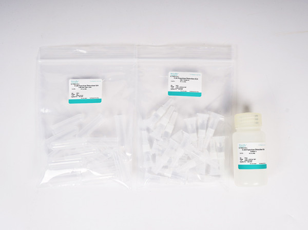 Spin Column Exosome Isolation Kit