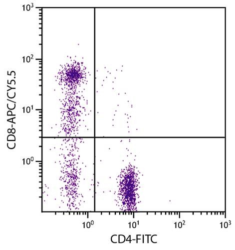 Anti-CD8 (APC/Cy5.5), clone RFT8