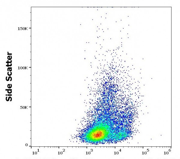 Anti-CD178 / Fas-L, clone NOK-1 (low endotoxin)